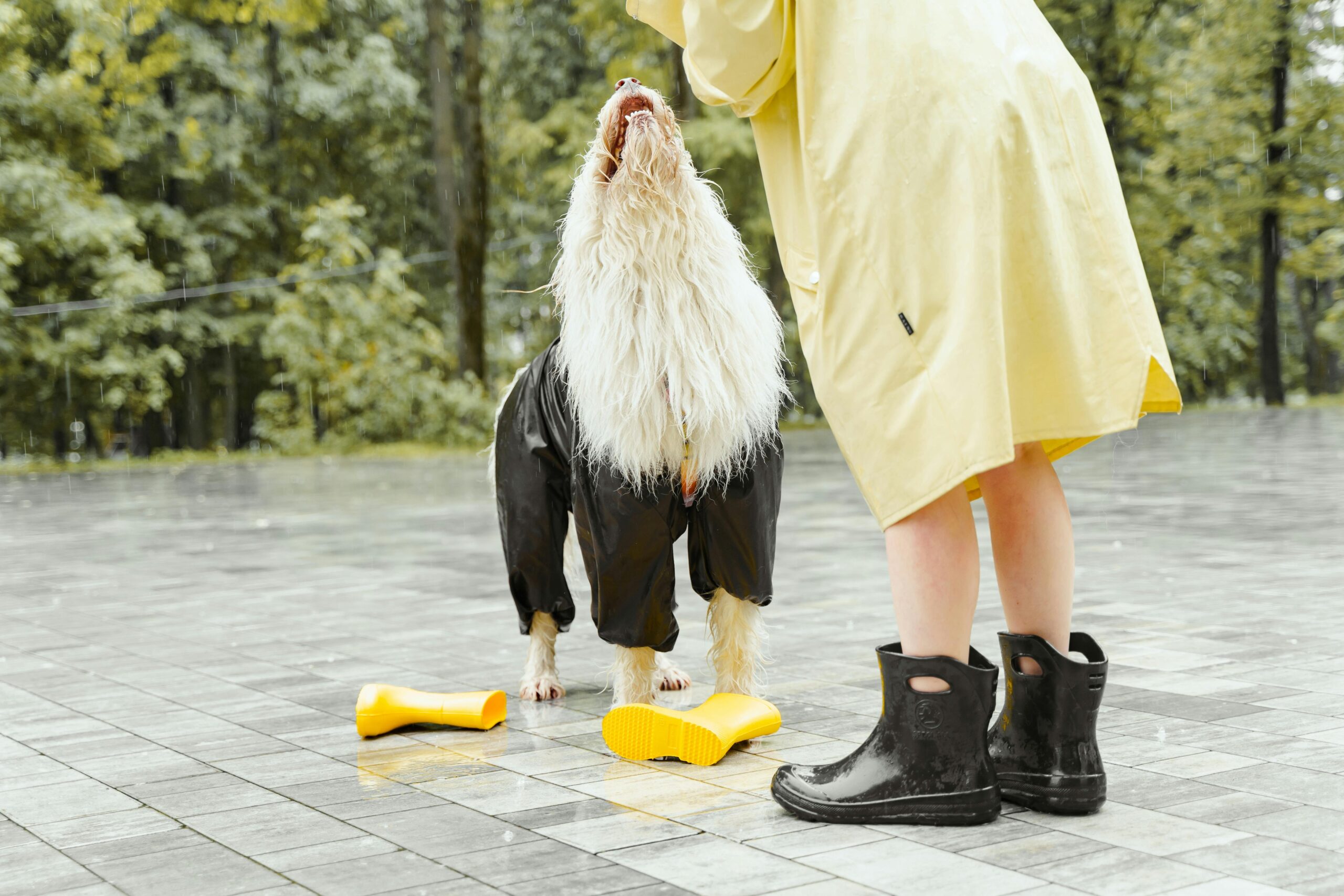A backpacker wearing a stylish waterproof poncho in heavy rain