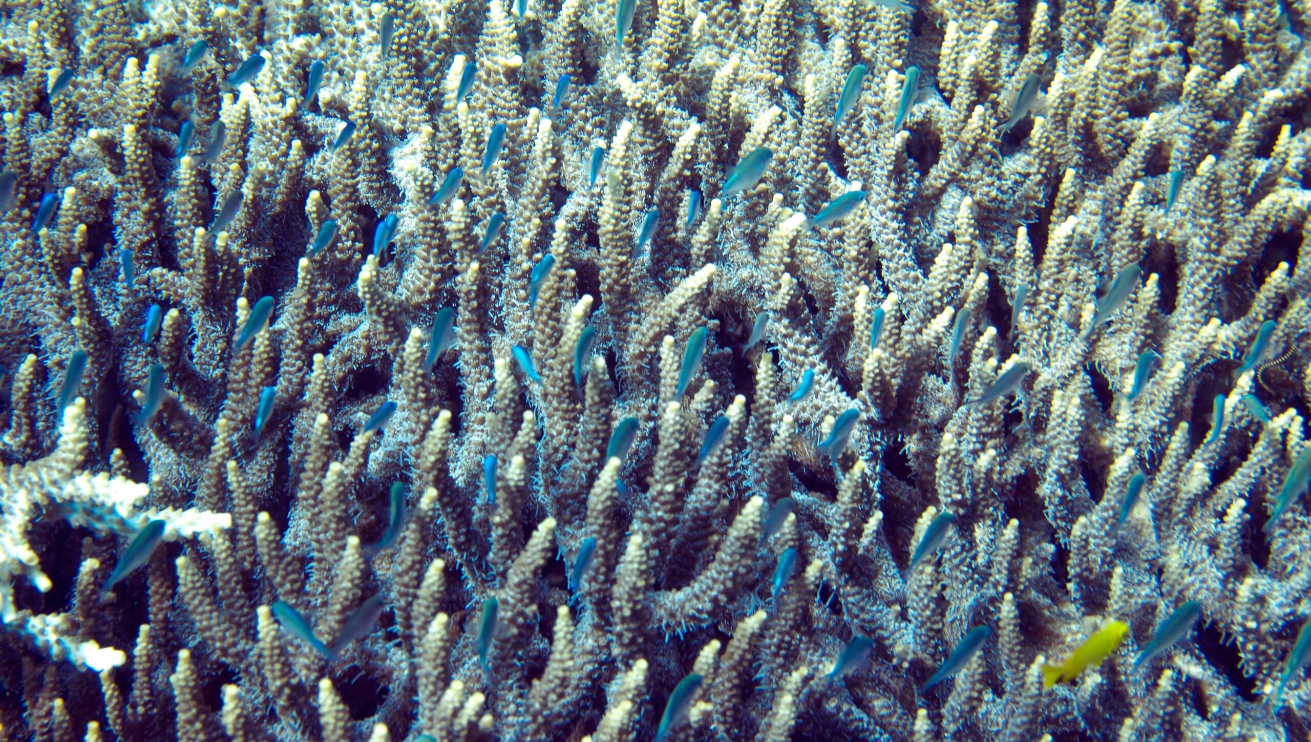 Close-up of reinforced seams on a high-quality poncho