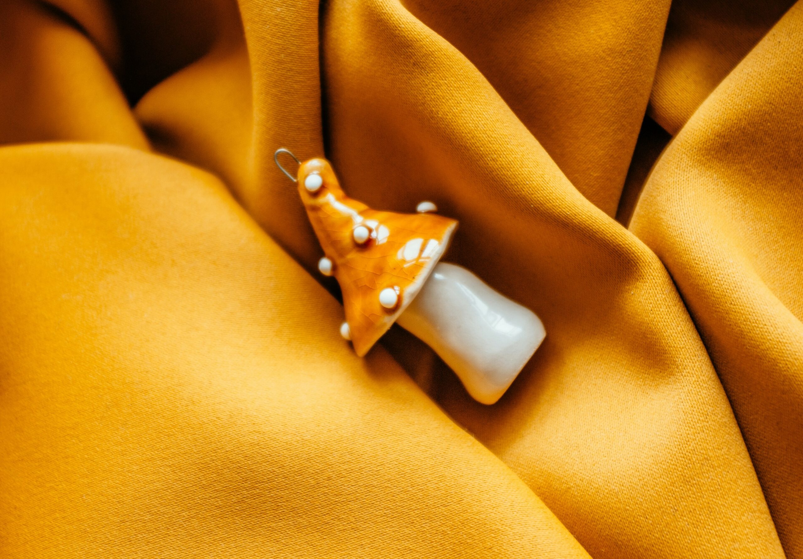 Close-up photo of a folded poncho fitting inside a small pouch