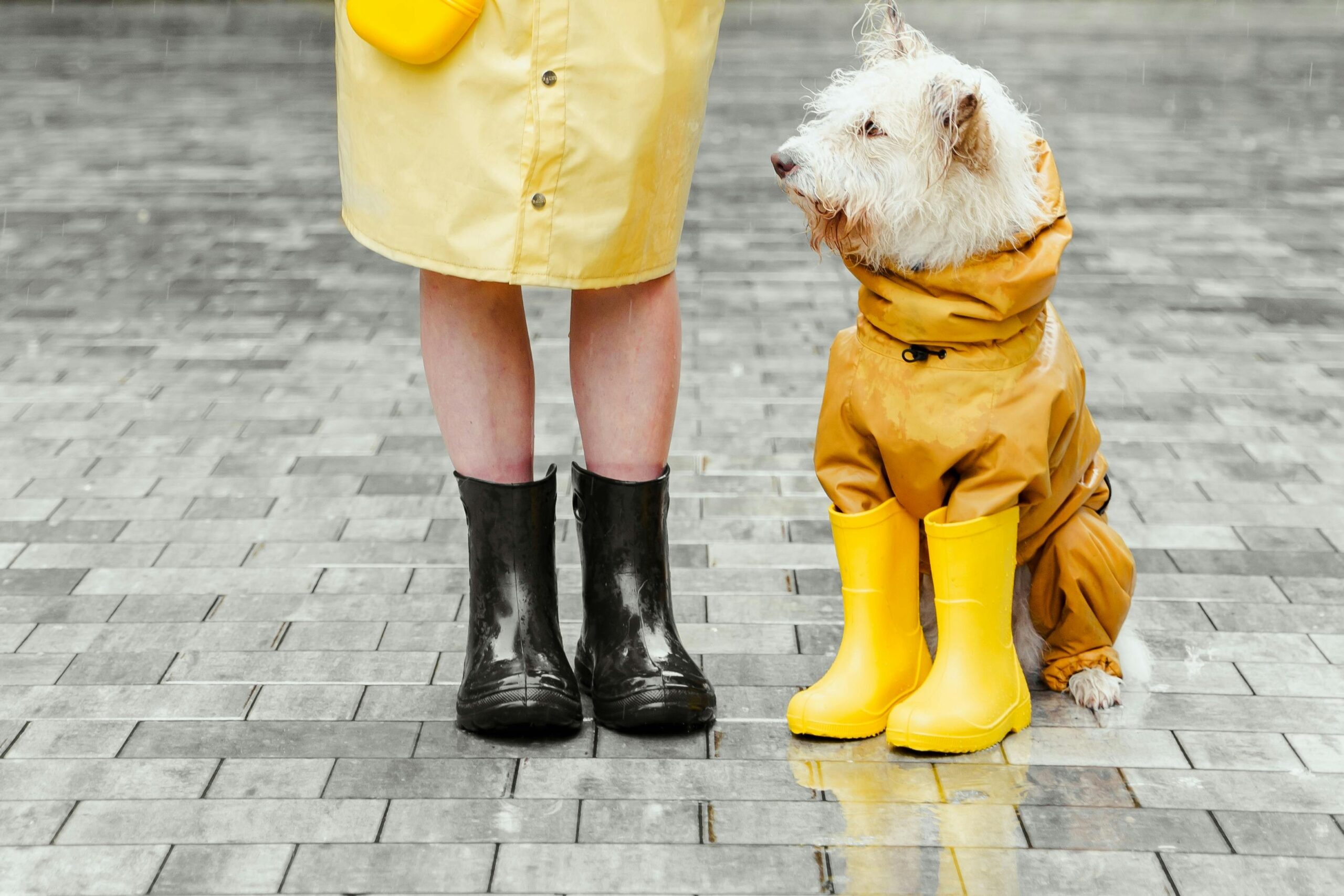 Packable Rain Gear